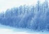 snowy_trees.JPG